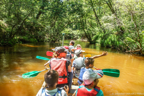 Un groupe d'enfants et un adulte font du cano&euml; collectif sur la Leyre, sous la for&ecirc;t-galerie