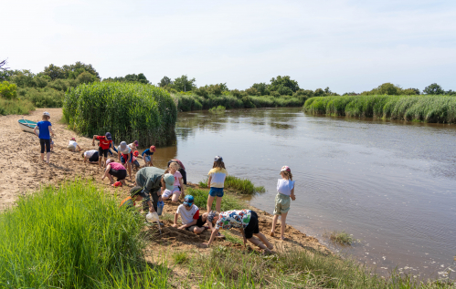 Un groupe d'enfants creuse dans le sable au bord de la Leyre.