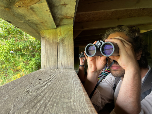 Un homme observe les oiseaux au travers d'une paire de jumelle, dans un observatoire de la R&eacute;serve ornithologique du Teich, sur le bassin d'Arcachon