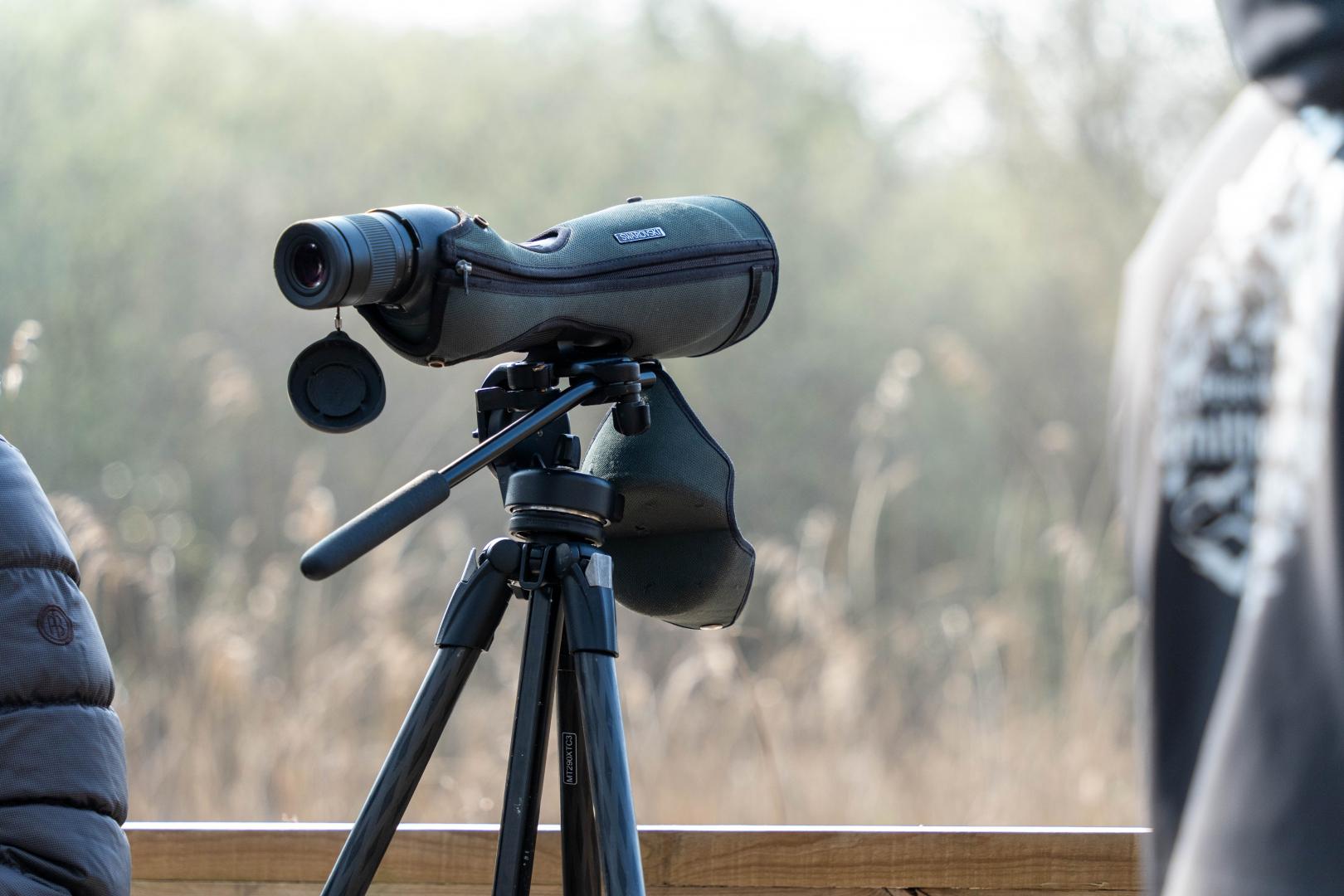 Une longue-vue à la Réserve ornithologique du Teich