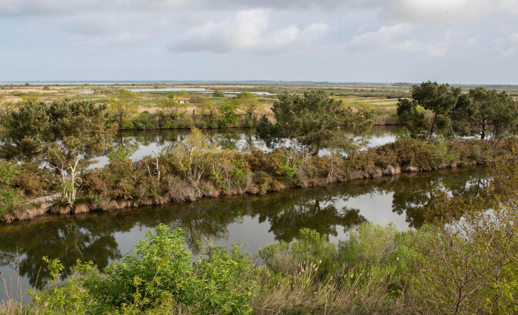Vue en hauteur sur les domaines endigués de la Réserve Ornithologique du Teich