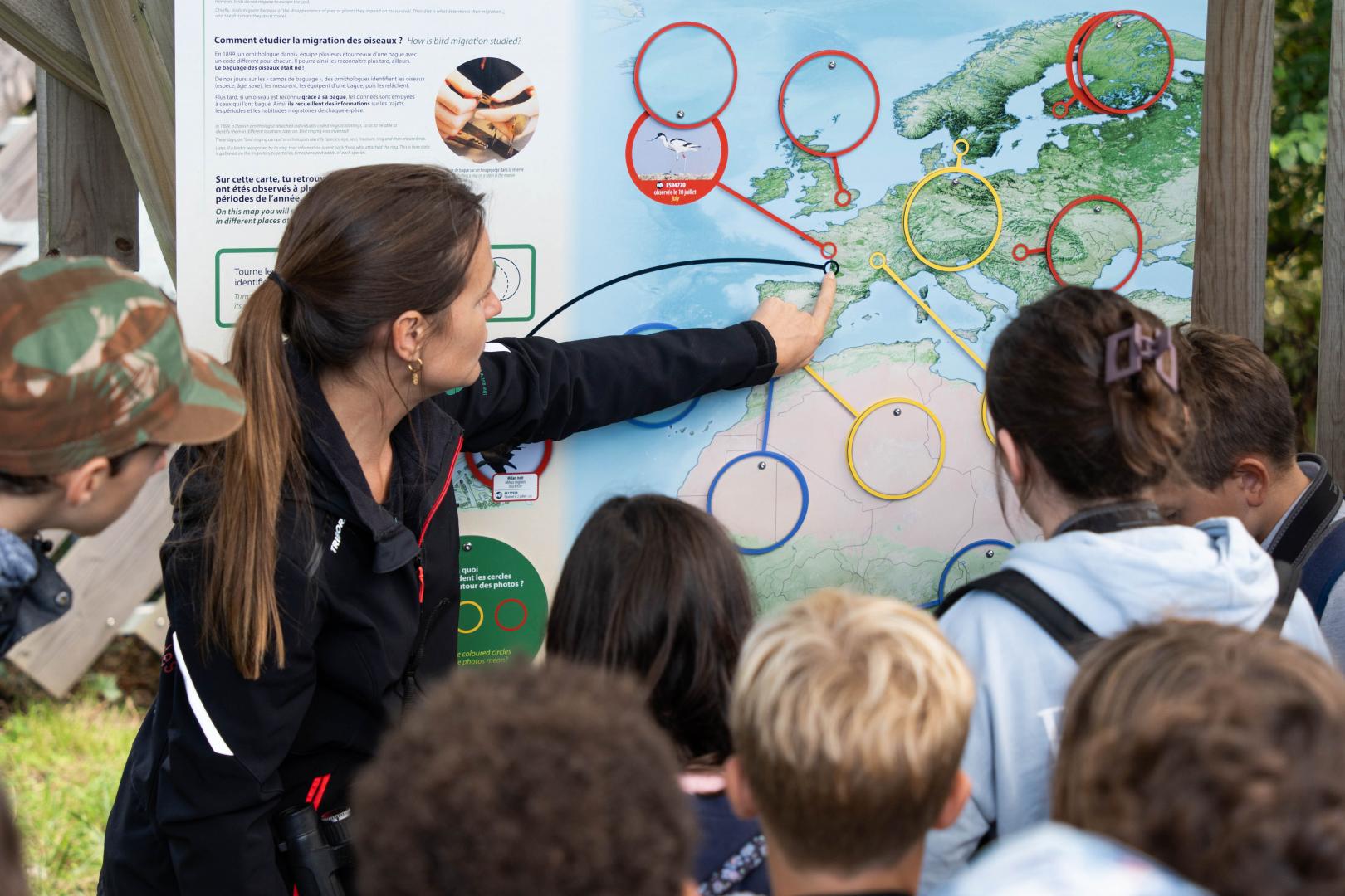 Un groupe d'élèves visite la Réserve ornithologique du Teich, une animatrice leur montre une installation qui présente la migration des oiseaux.