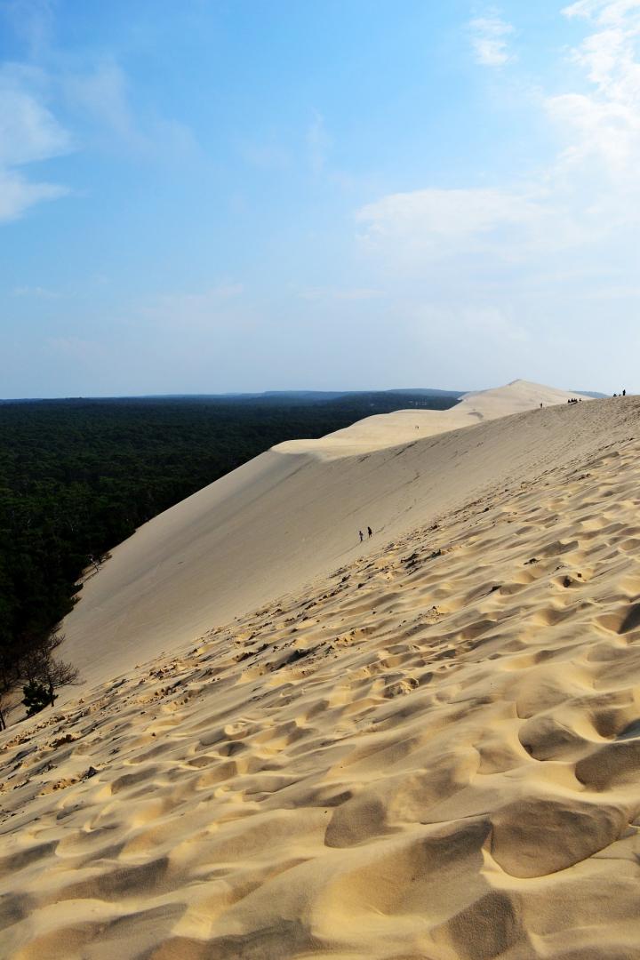 Dune du Pilat, dune de sable majestueuse dépassant la canopée des pins maritimes