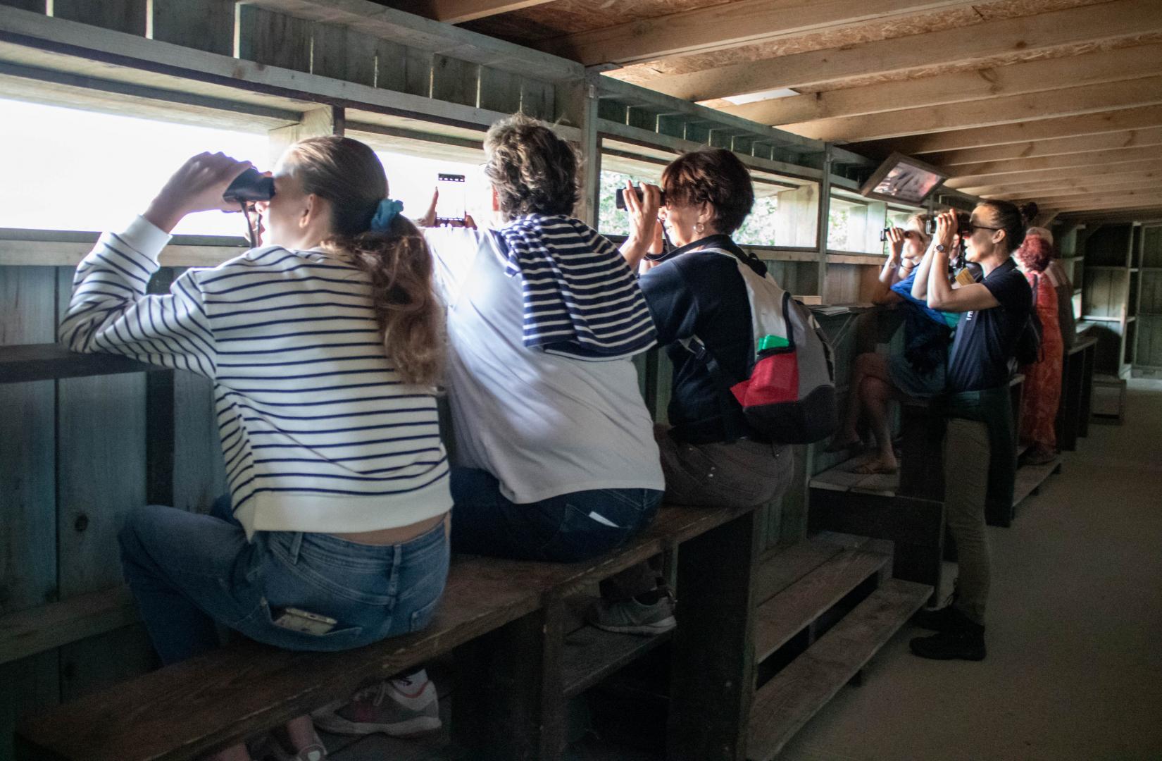 Un groupe de personnes avec des jumelles, assises à l'intérieur de l'un des observatoires en bois de la Réserve Ornithologique du Teich. Ils sont accompagnés par une animatrice, elle-même observant les oiseaux avec des jumelles