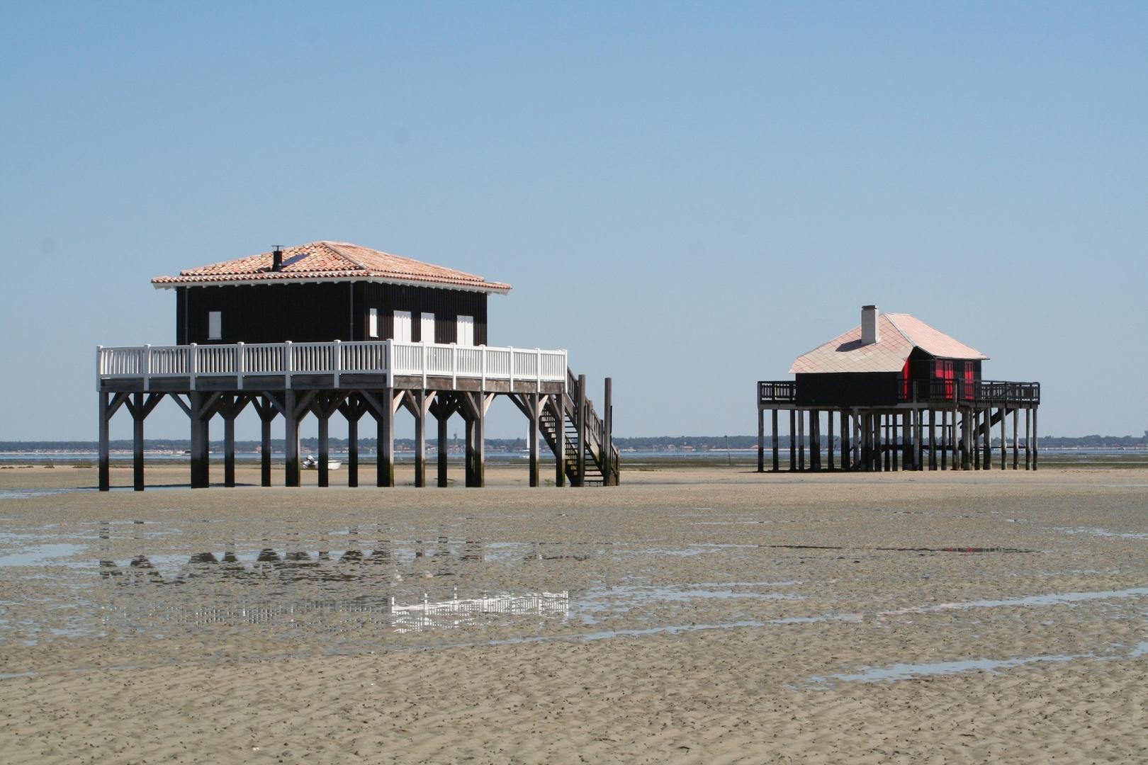 Sur le bassin d'Arcachon à marée basse, l'Ile aux oiseaux dévoile ses cabanes sur pilotis, appelées "tchanquées"